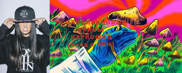 тгк Богданович