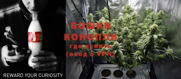 тгк Богданович
