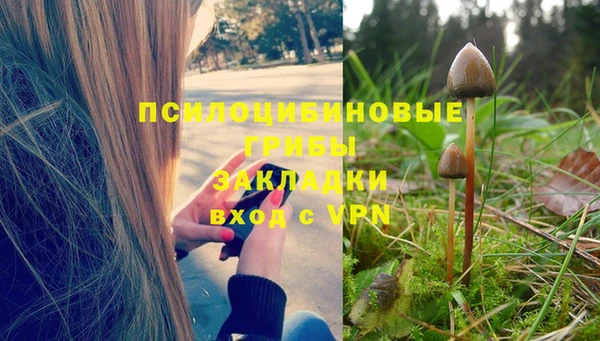 тгк Богданович