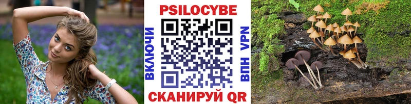 Псилоцибиновые грибы мухоморы Киреевск
